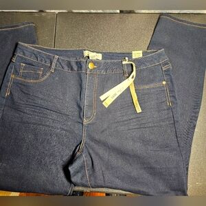 NWT- Womens Plus Size D.Jeans Skinny Dark Wash stretch jeans
